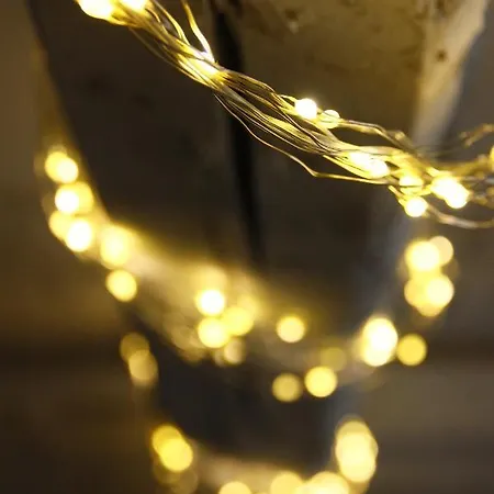 Casa De La Libelula Feriehus