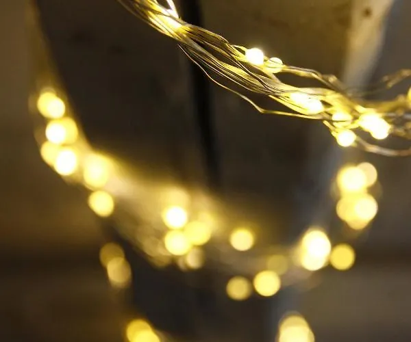 Casa De La Libelula 펜션